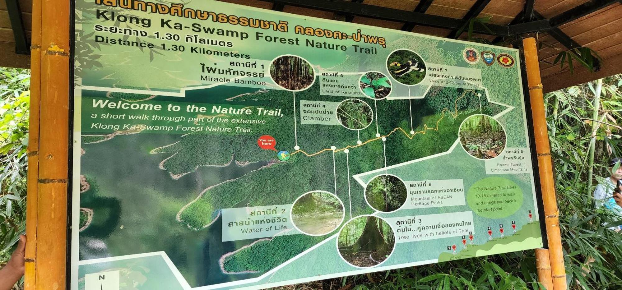Khaosok Happy House Bed & Breakfast Khao Sok National Park Exterior photo